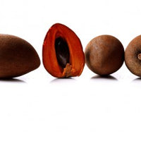Sapote