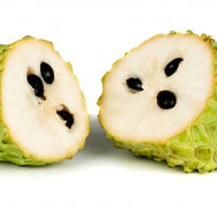 Soursop