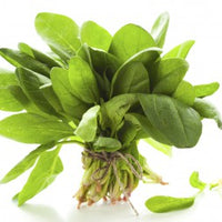 Spinach