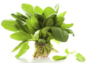 Spinach