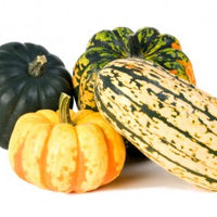 Squash - delicata, hubbard