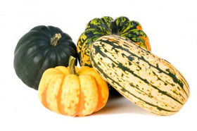 Squash - delicata, hubbard