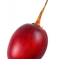Tamarillo, tree tomato