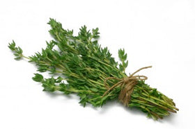 Thyme