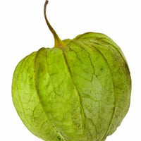 Tomatillo