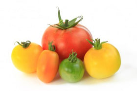 Tomatoes