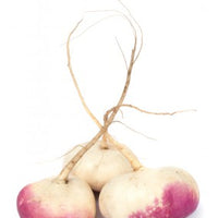 Turnips