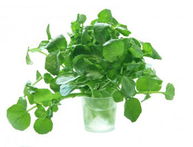 Watercress