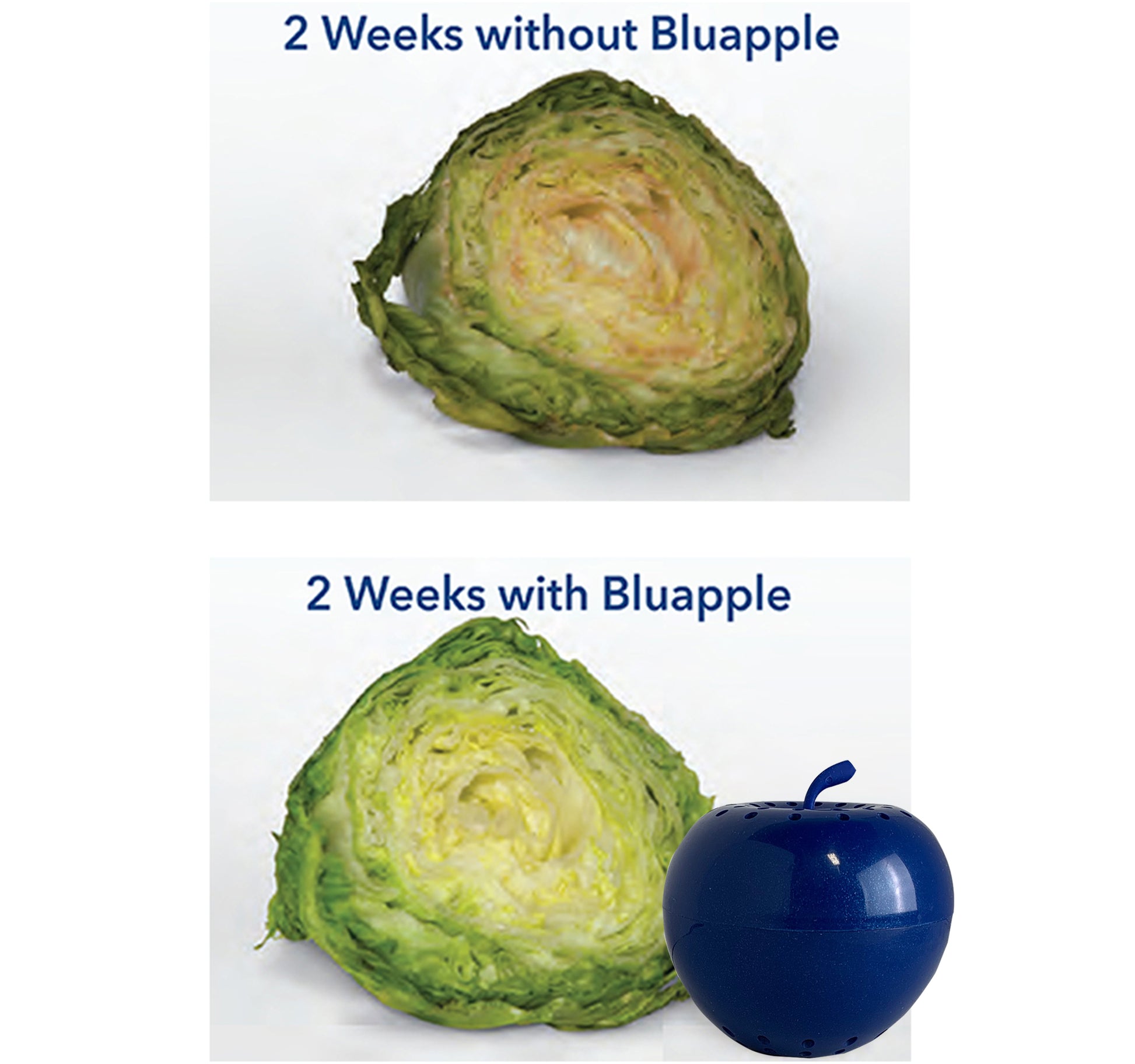 Bluapple comparison lettuce with and without