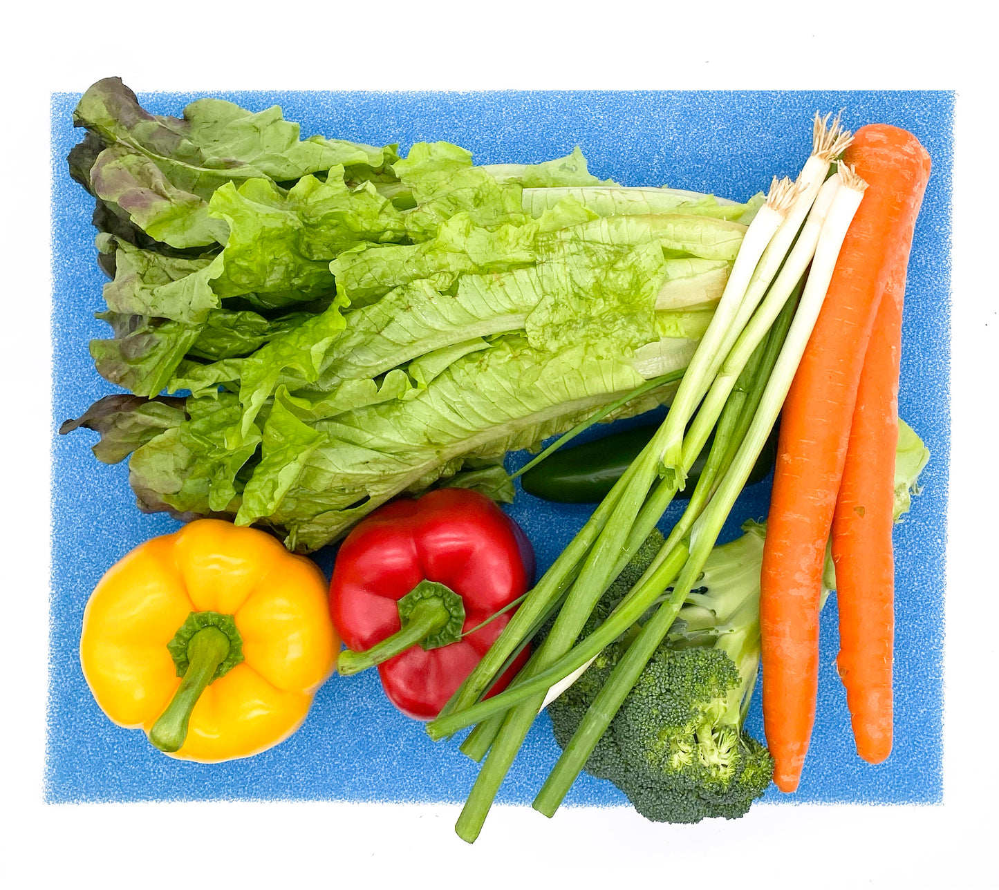 Vegetables on Blue FreshMat