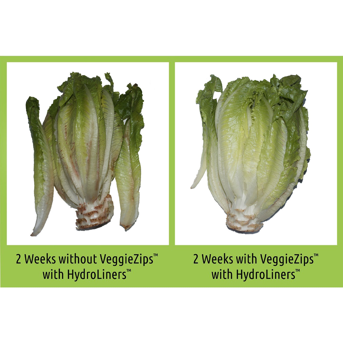 VeggieZips with HydroLiners 20PK