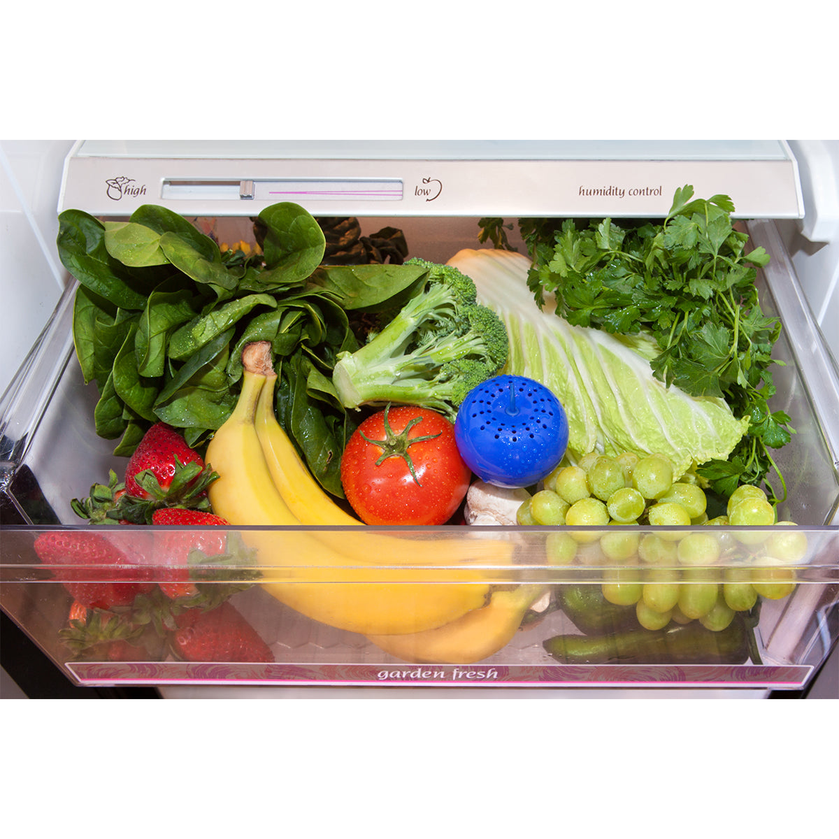 Bluapple in crisper