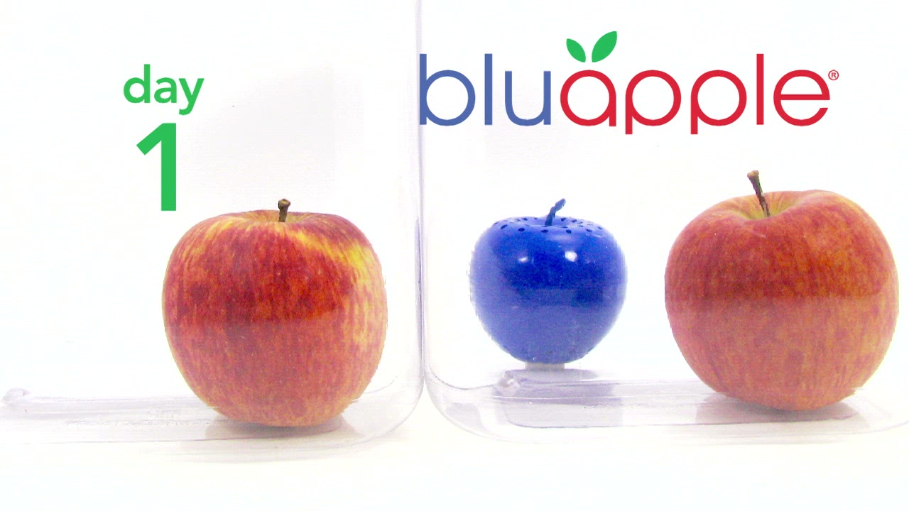 Apple Timelapse with and without bluapple