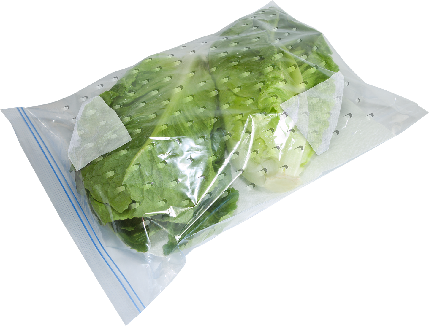 VeggieZips® Bags Only 20-Pack