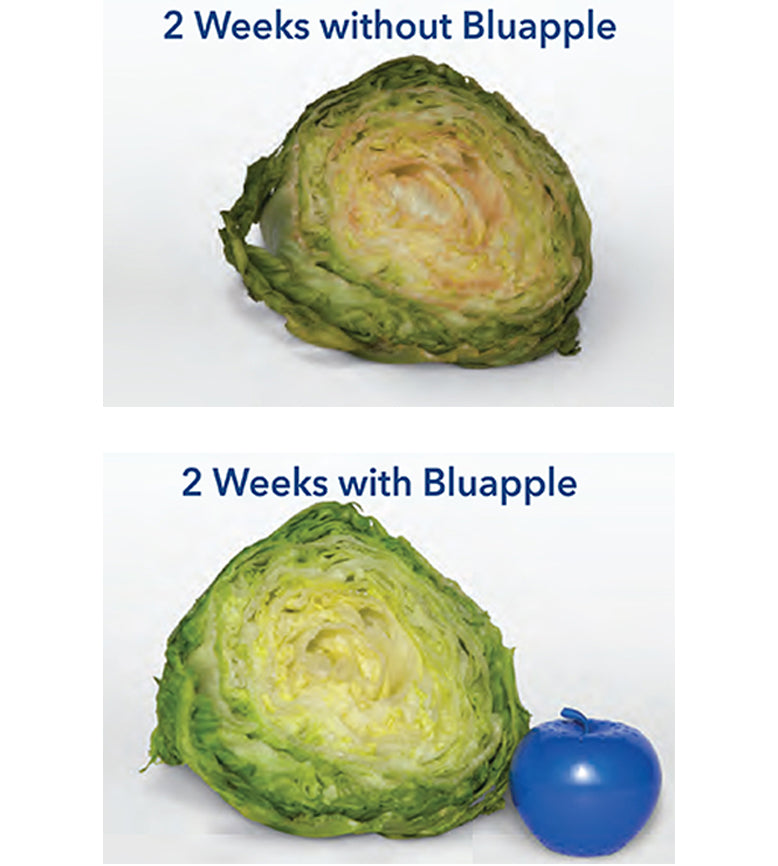 Bluapple Produce Fresh Guard Blue Pkg/2, 2-1/4 diam. x 2-1/4 H | The Container Store